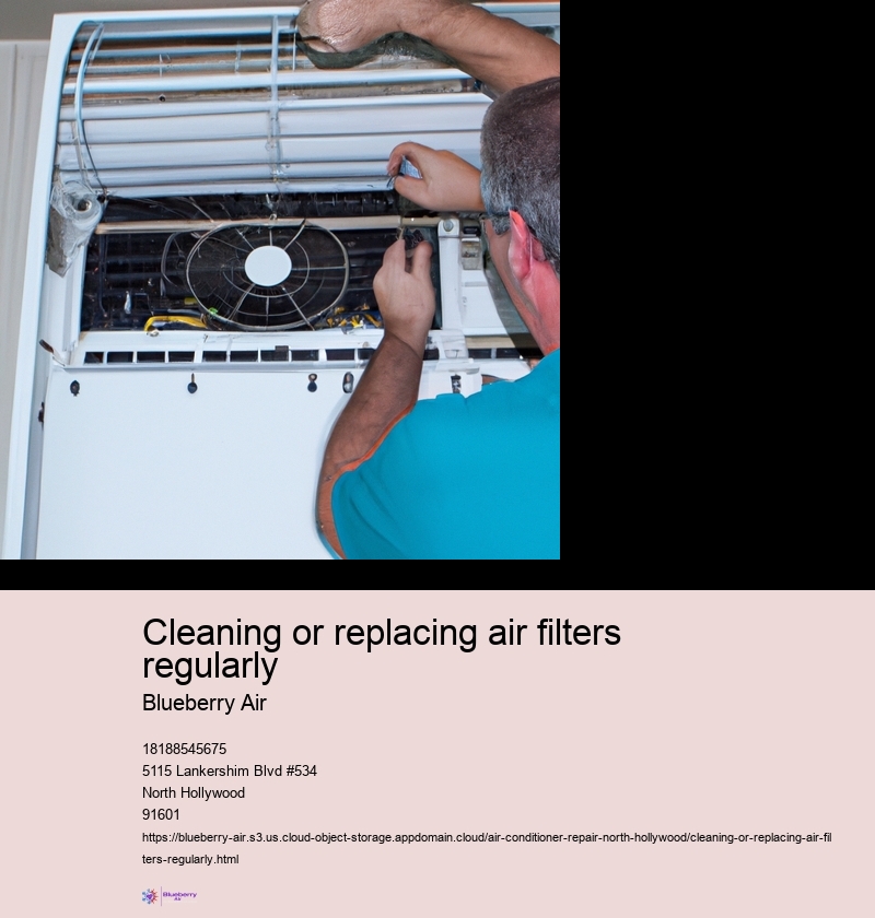 Importance of clean air filters