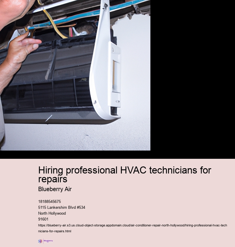 Importance of hiring a professional HVAC technician